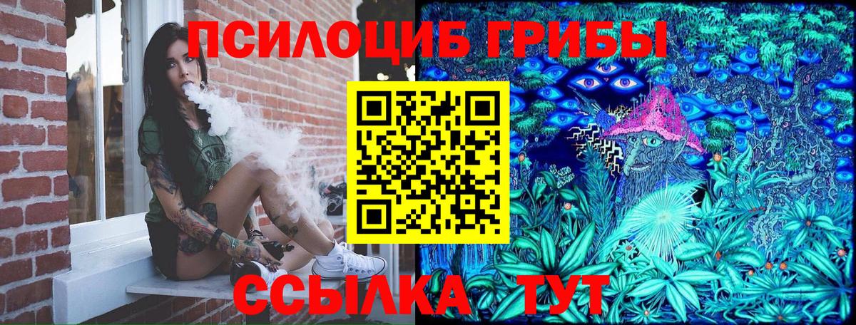 Мелеуз  Галлюциногенные грибы Psilocybine cubensis  Вход с VPN 